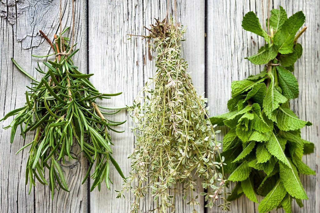 10 uncommon spices and herbs to add flavor to your cooking