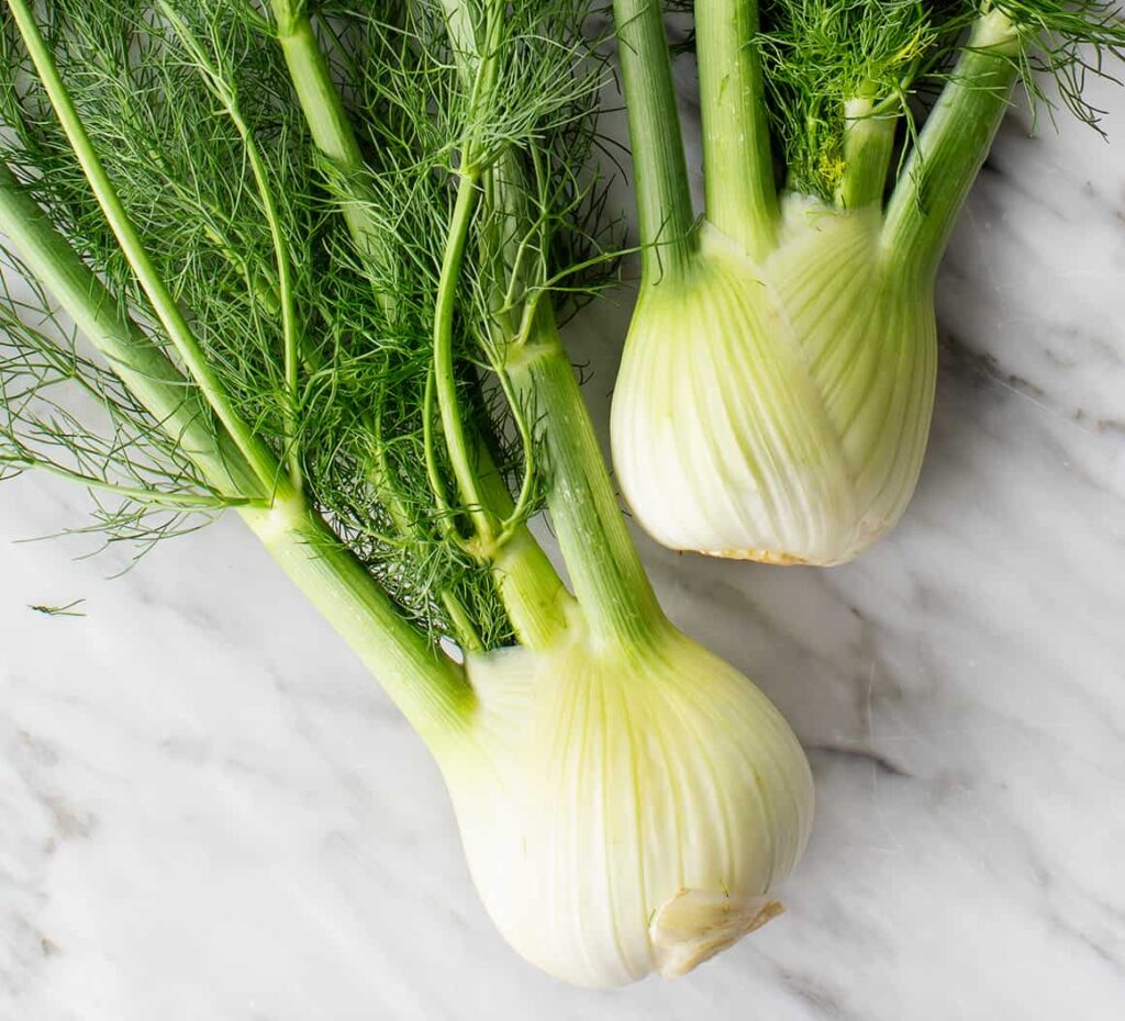 all about fennel how to incorporate this underused ingredient into your cooking