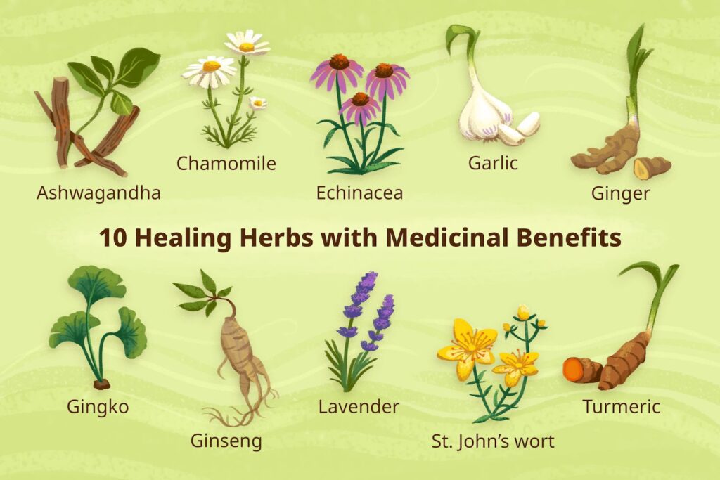 cooking with herbs how to unlock the flavor and health benefits of these powerful plants