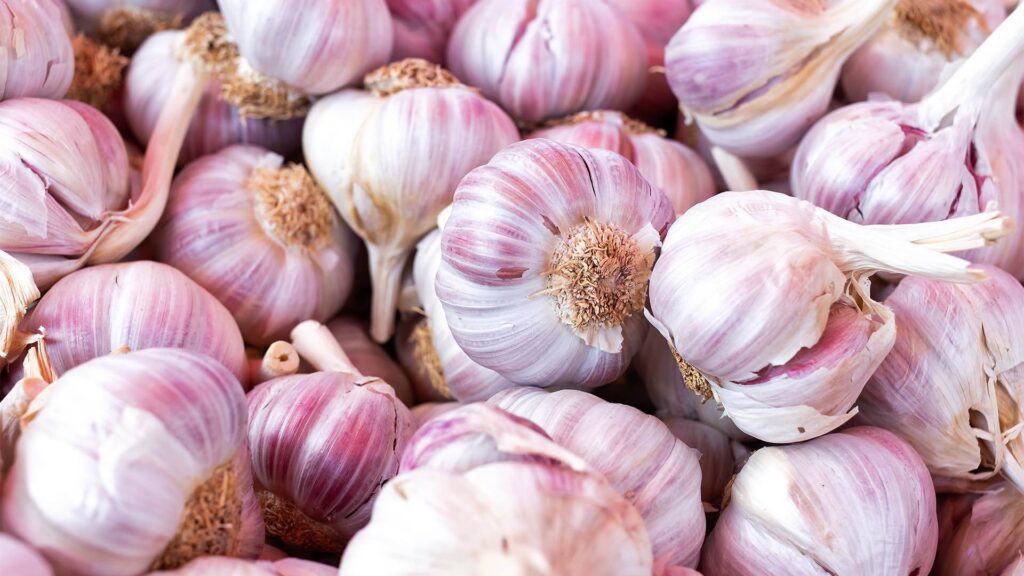 the magic of cooking with garlic and its health benefits