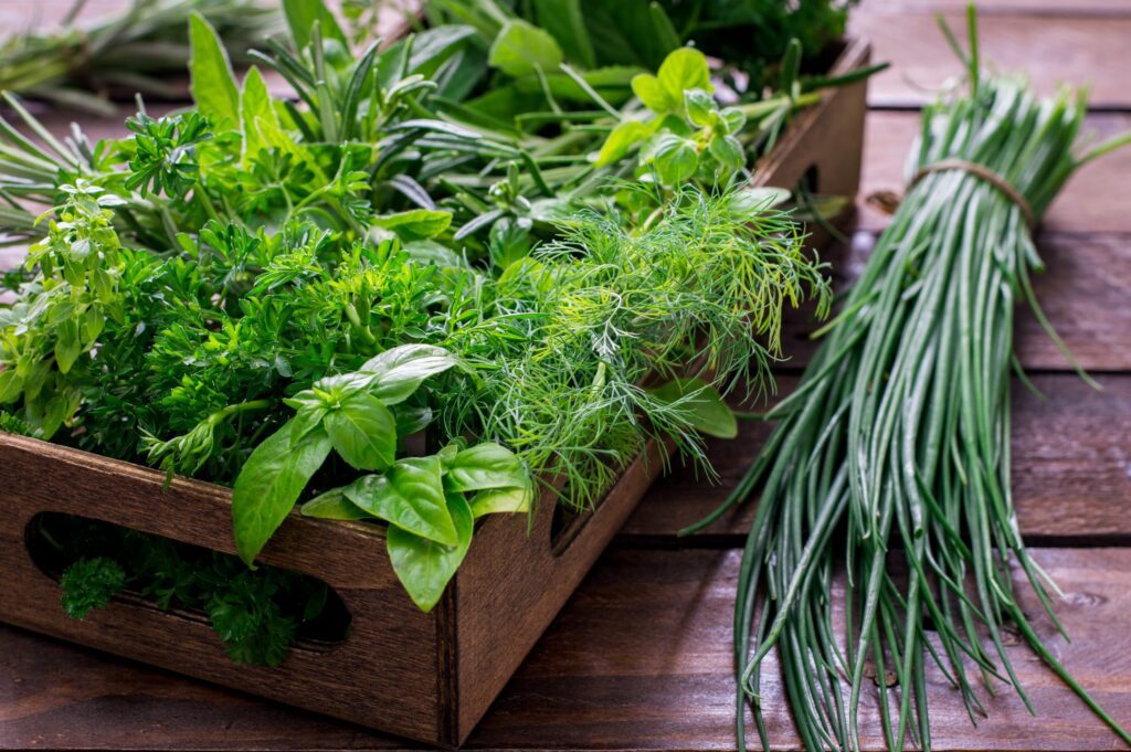 the magic of fresh herbs enhancing taste and aroma in your kitchen