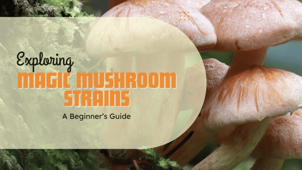 the magic of mushrooms exploring different varieties and their culinary uses