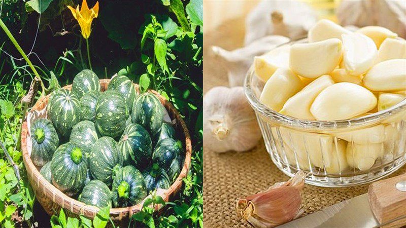 Ingredients for stir-fried young pumpkin with garlic