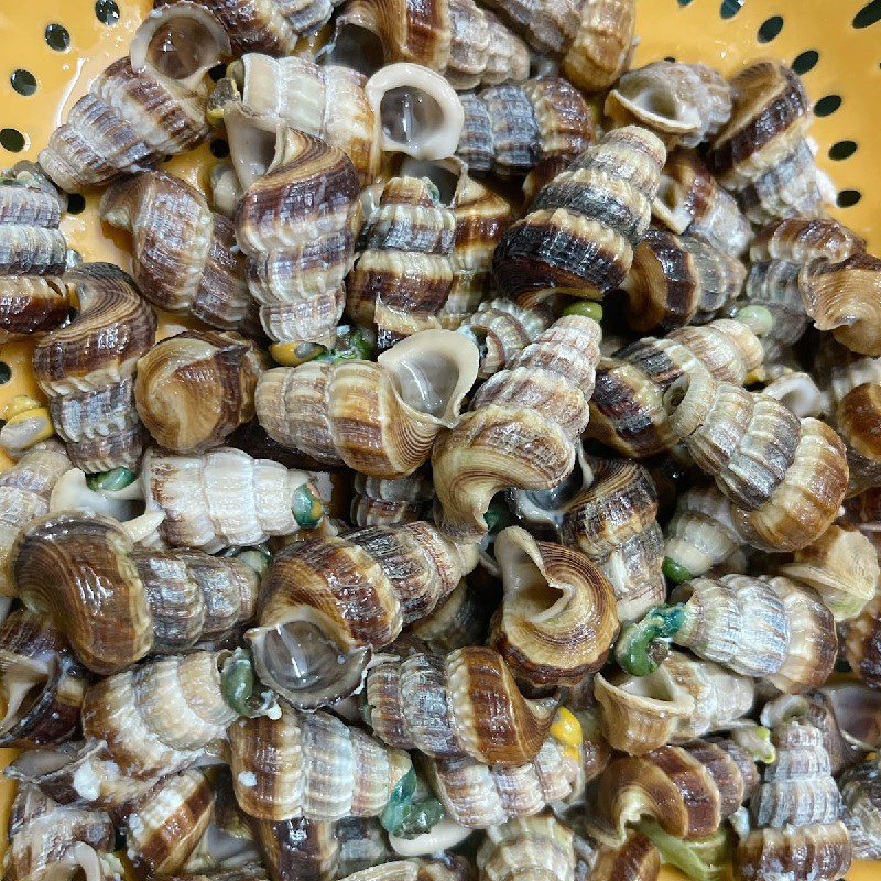 Step 3 Boiled Snails Snails sautéed with coconut