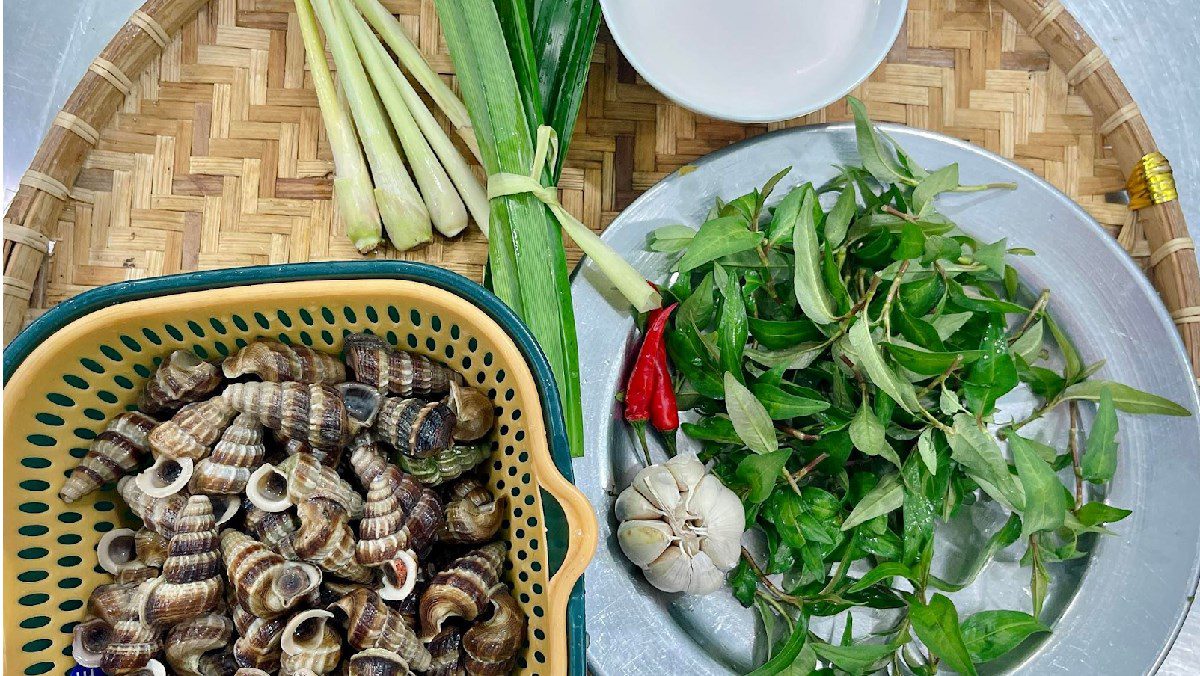 Ingredients for sautéed snails with coconut and sautéed snails with lemongrass and chili