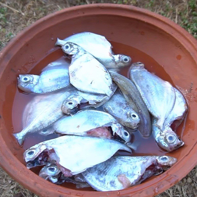 Step 1 Prepare the snakehead fish Braised Snakehead Fish with Pepper