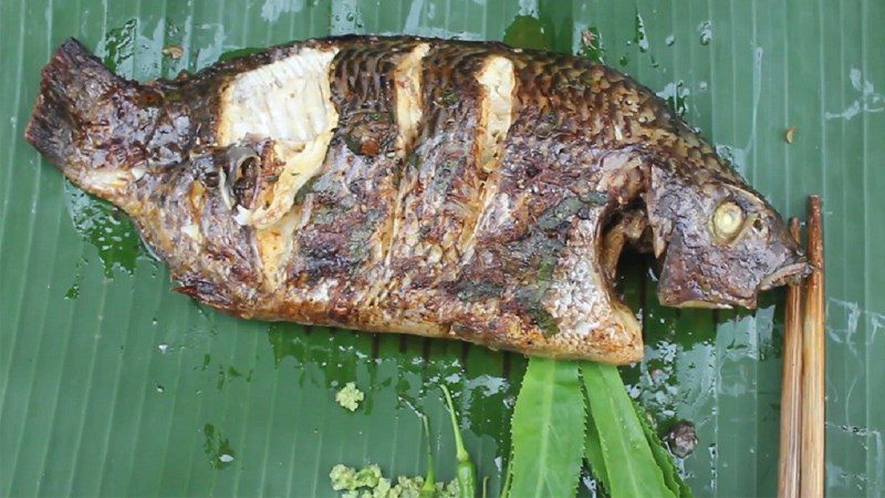 Grilled Fish in Foil