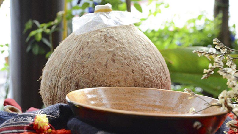 Fresh Coconut Wine