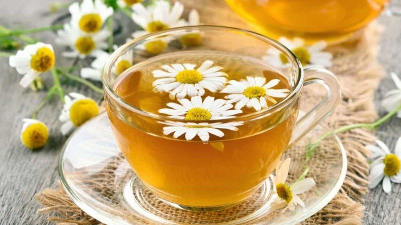 Chrysanthemum tea