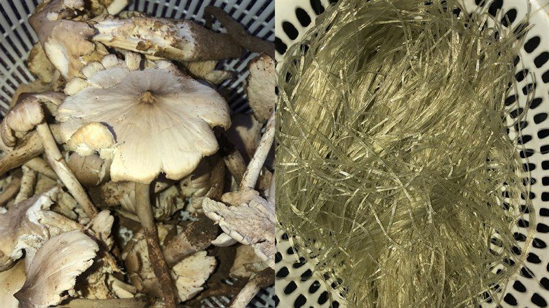 Ingredients for stir-fried rice vermicelli with mushroom