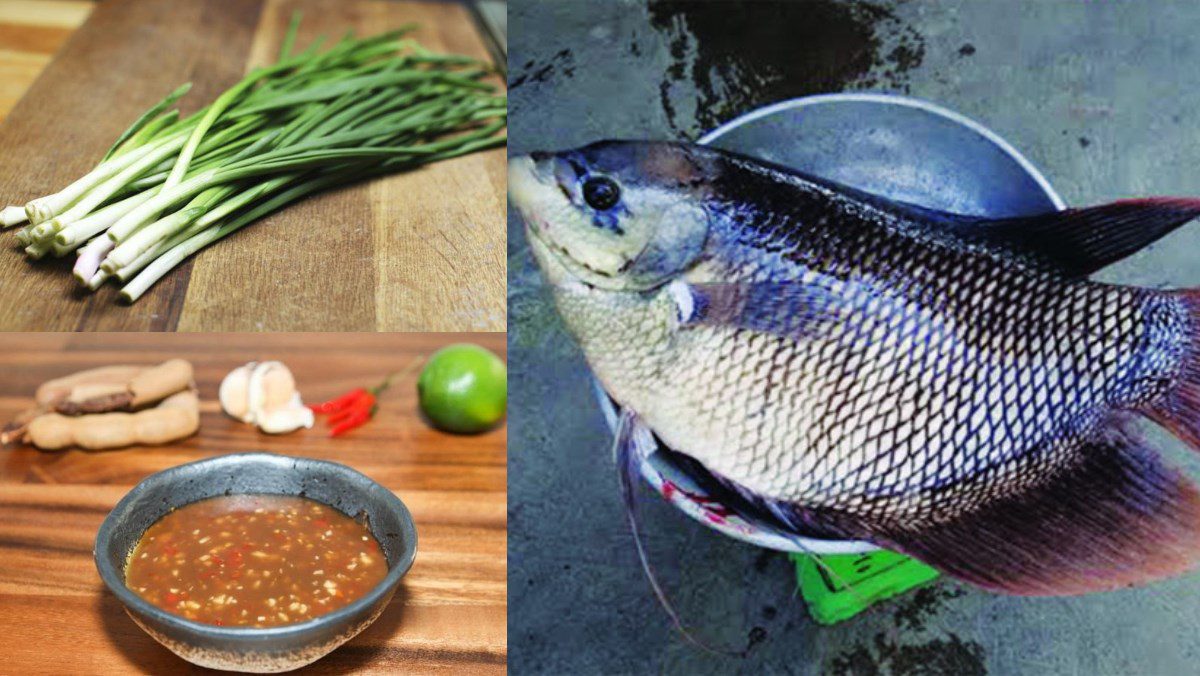 Ingredients for steamed giant snakehead fish with onion