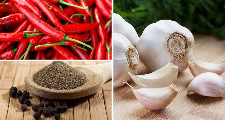 Ingredients for Korean chili powder dish