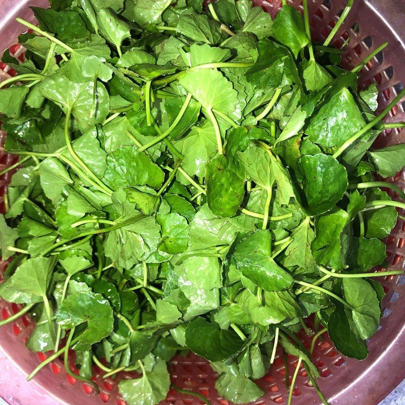 Step 1 Prepare the ingredients for pennywort fish soup