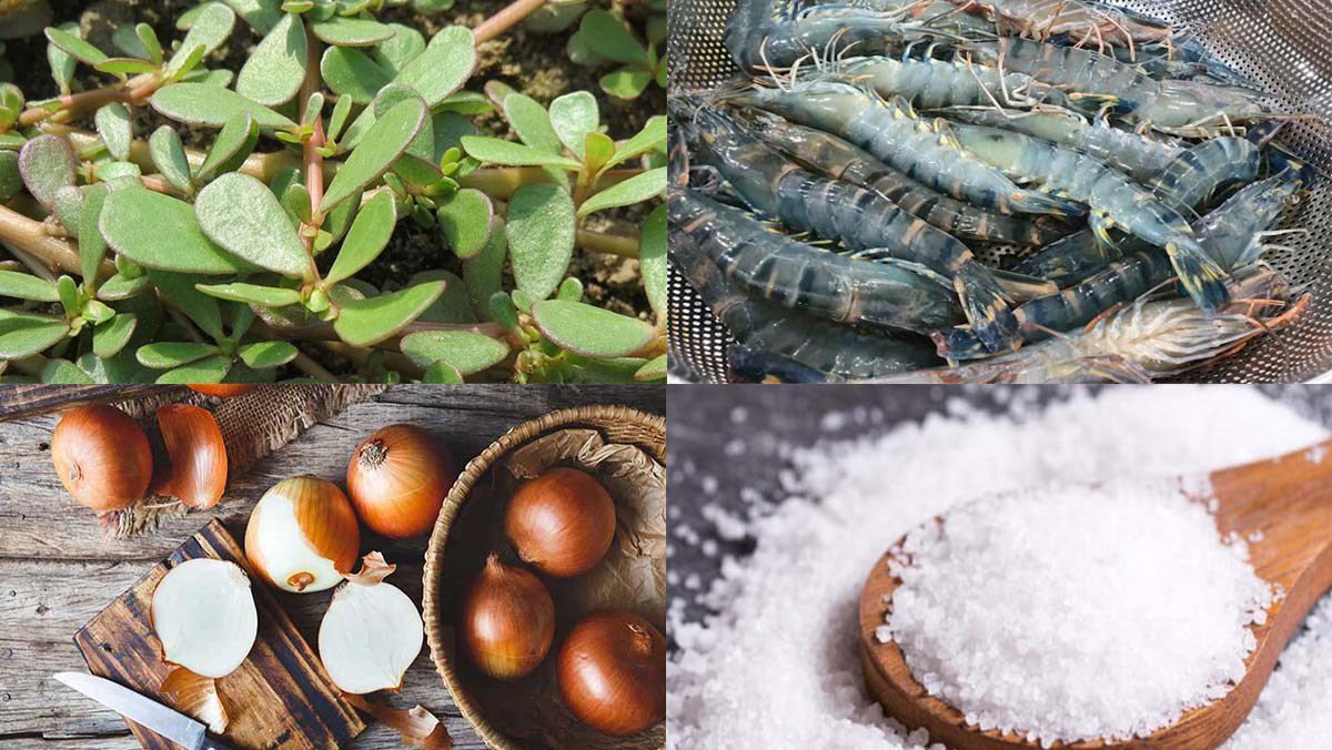 Ingredients for the dish of vegetable soup cooked with shrimp