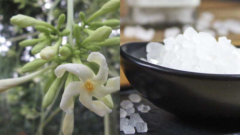 Ingredients for steamed male papaya flowers with rock sugar and honey