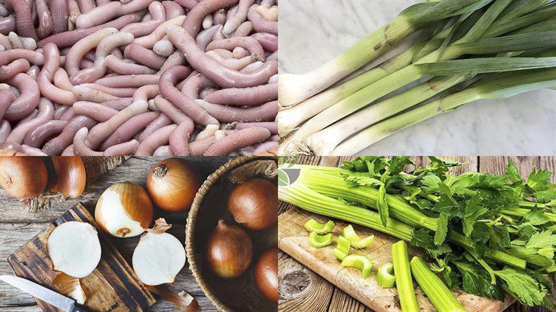 Ingredients for 3 ways to make stir-fried sá sùng