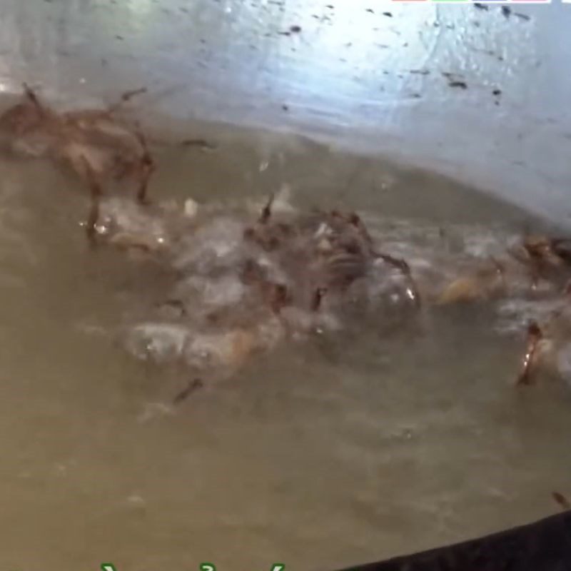 Step 3 Fry the crickets Fried Crickets with Fish Sauce