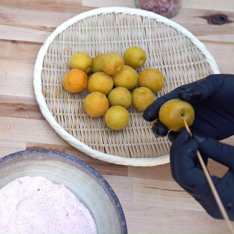 Step 2 Salt Rolling and Fermenting the Plums Aged Salted Plums Japanese Style - Umaboshi