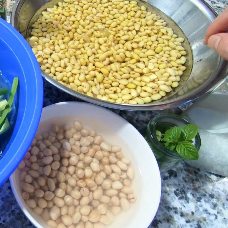 Step 1 Soak Soybeans and Peanuts Mint Soy Milk