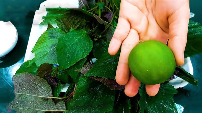 Ingredients for perilla leaf juice