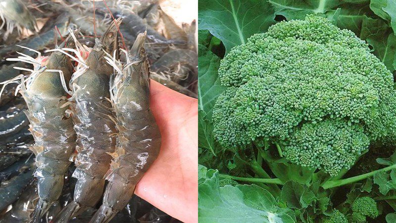 Ingredients for the dish of 2 methods of making shrimp stir-fried with broccoli and bok choy