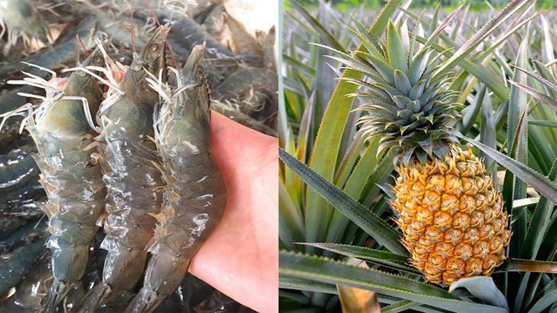 Ingredients for stir-fried shrimp with pineapple