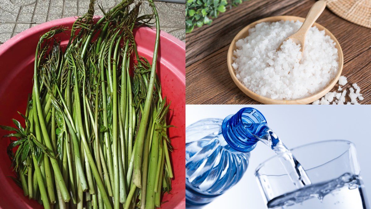 Ingredients for making sour salted vegetable