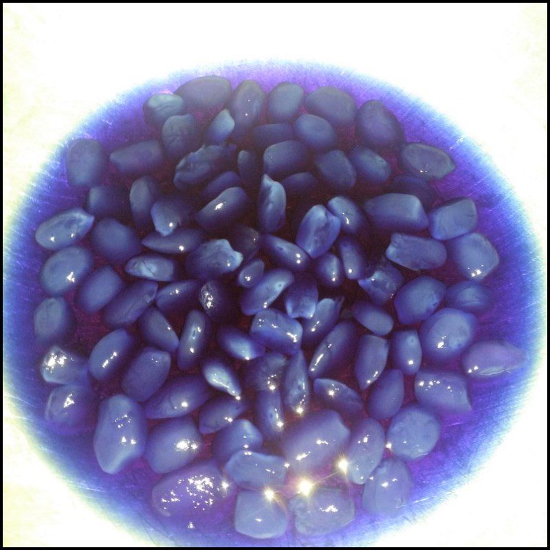 Step 4 Cook the jackfruit seeds. Jackfruit seeds cooked with butterfly pea flower.