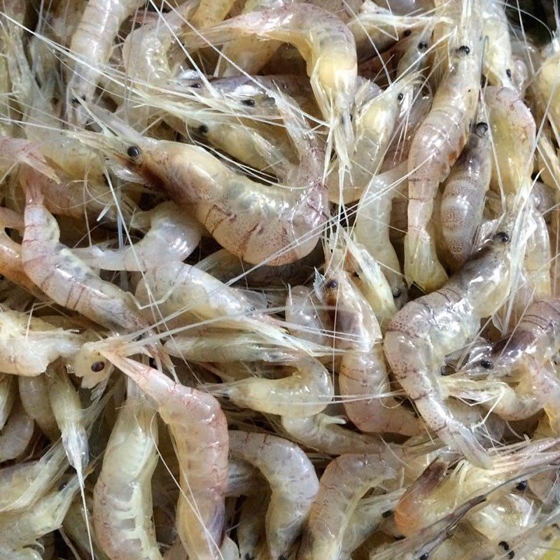 Step 1 Wash and pound the shrimp for shrimp-filled rice cakes