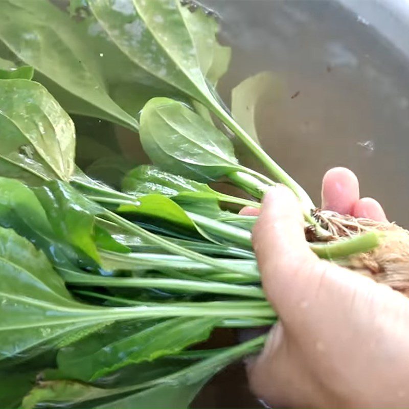 Step 1 Prepare plantain leaves for Plantain Leaf Water