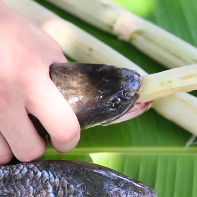 Step 1 Prepare snakehead fish Grilled snakehead fish with sugarcane