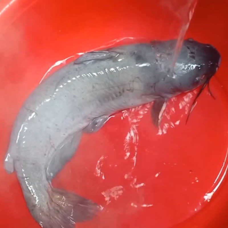 Step 1 Prepare catfish Fried catfish with galangal