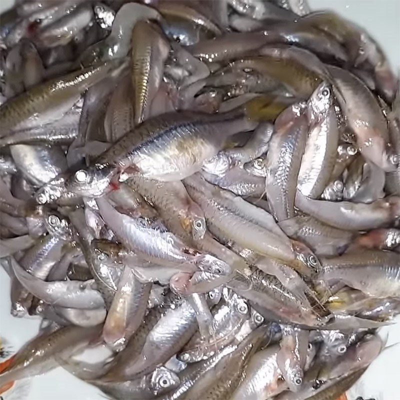 Step 1 Prepare the ingredients for Salted White Fish