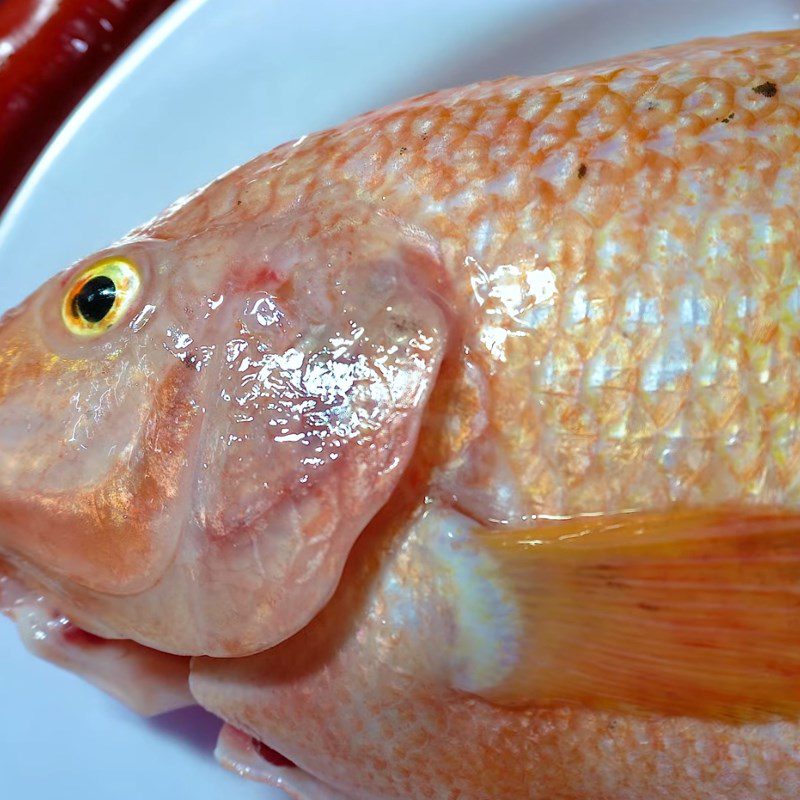 Step 2 Prepare and marinate the fish for steamed red tilapia with five spices