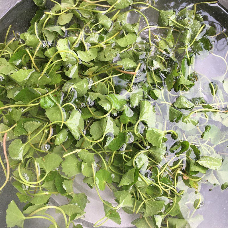 Step 1 Prepare the ingredients for Pennywort Soup with Shrimp