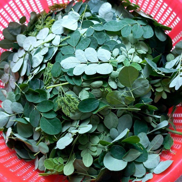 Step 2 Prepare the other ingredients for Moringa soup with fresh shrimp