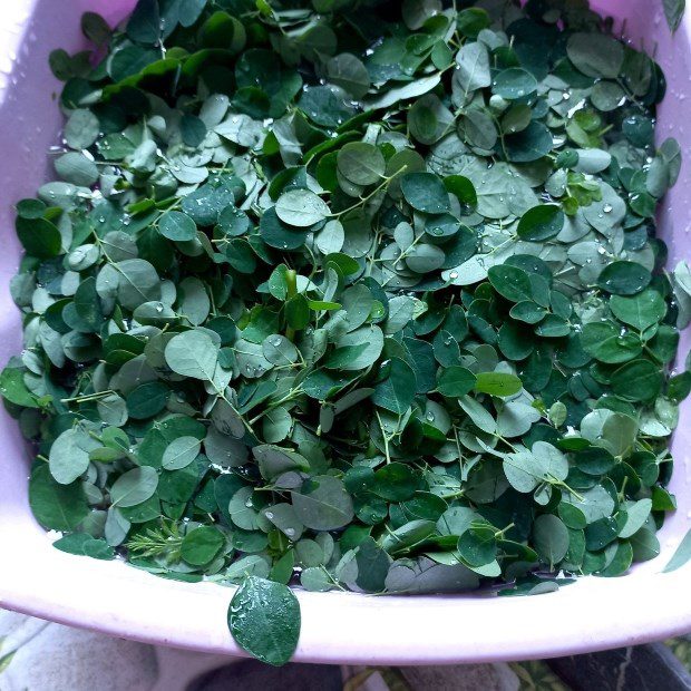 Step 2 Prepare the other ingredients for Moringa soup with fresh shrimp