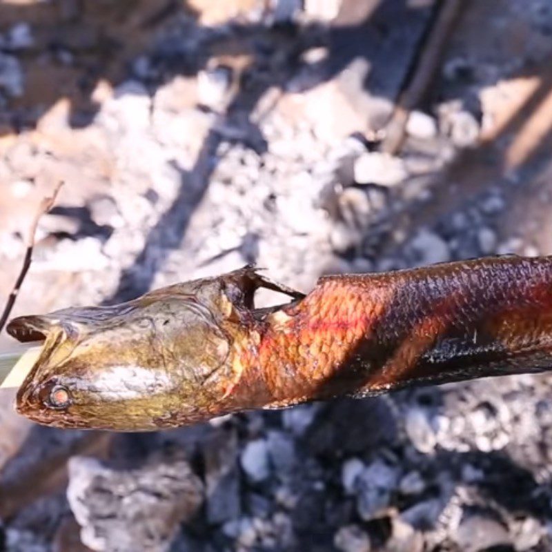 Step 2 Grilling Fish Grilled Snakehead Fish