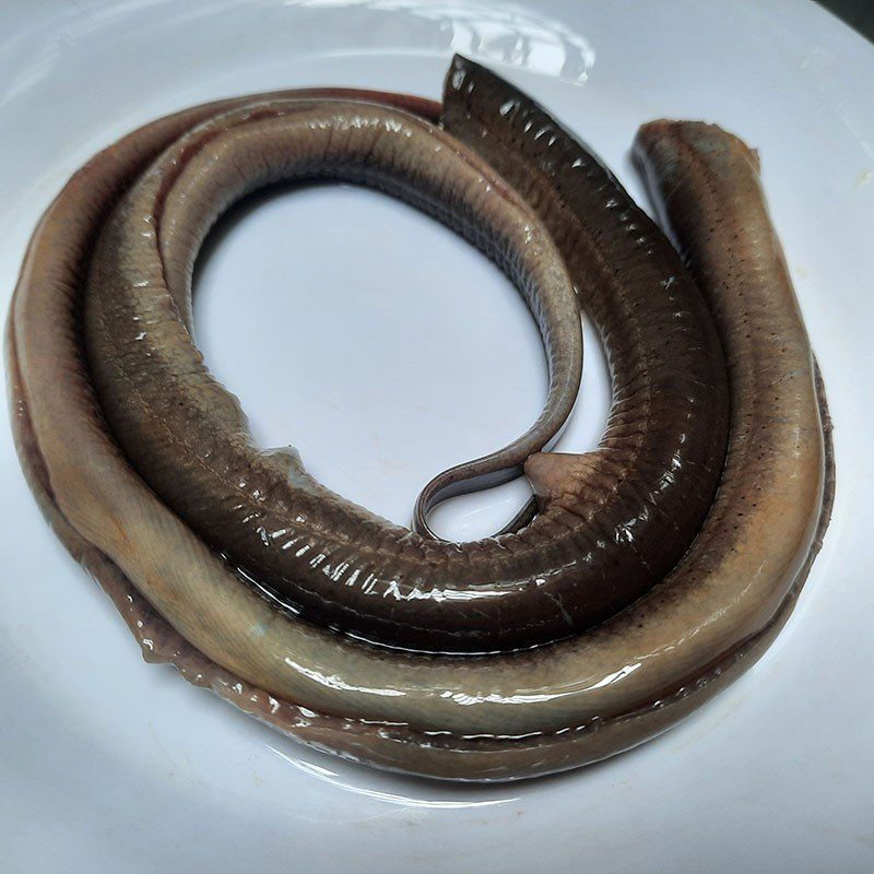 Step 1 Prepare the eel for Sour Soup with Giác Fruit