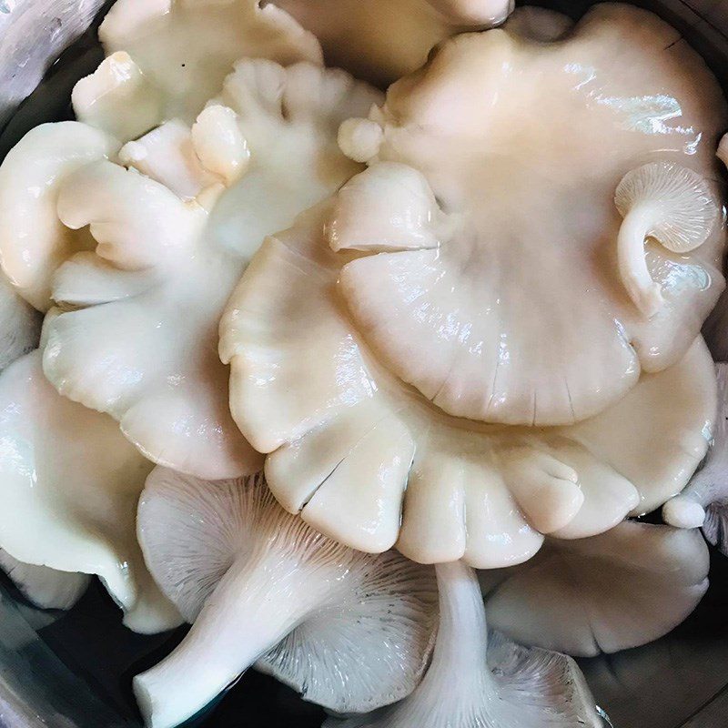 Step 1 Prepare the ingredients for winter melon soup with oyster mushrooms