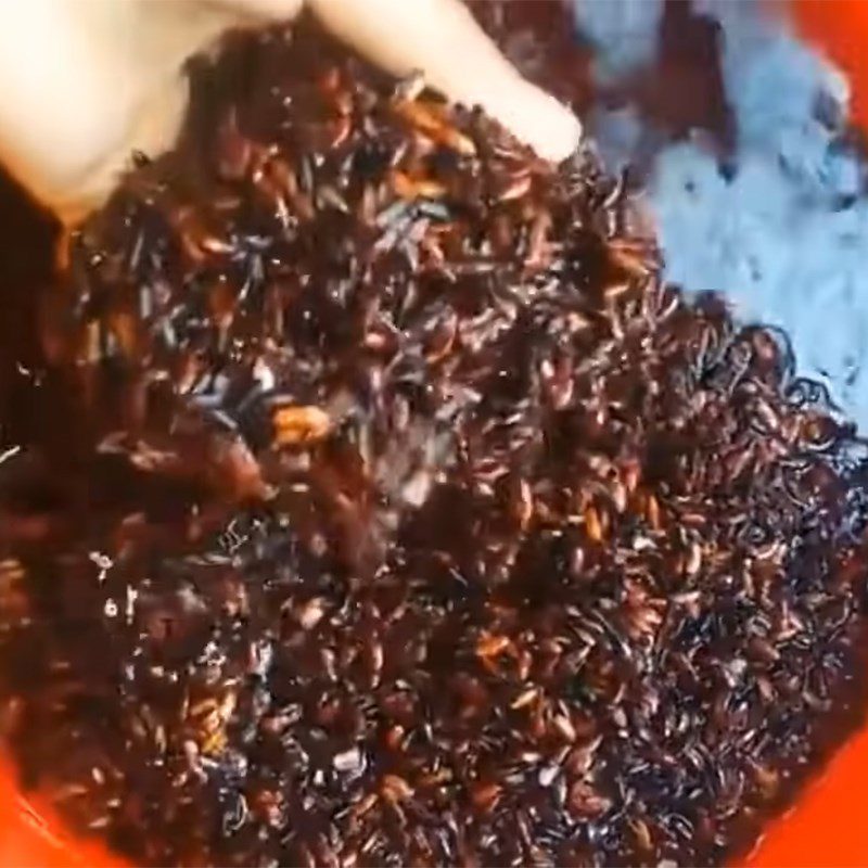 Step 1 Prepare the ingredients for Black Sticky Rice Wine - Black Sticky Rice