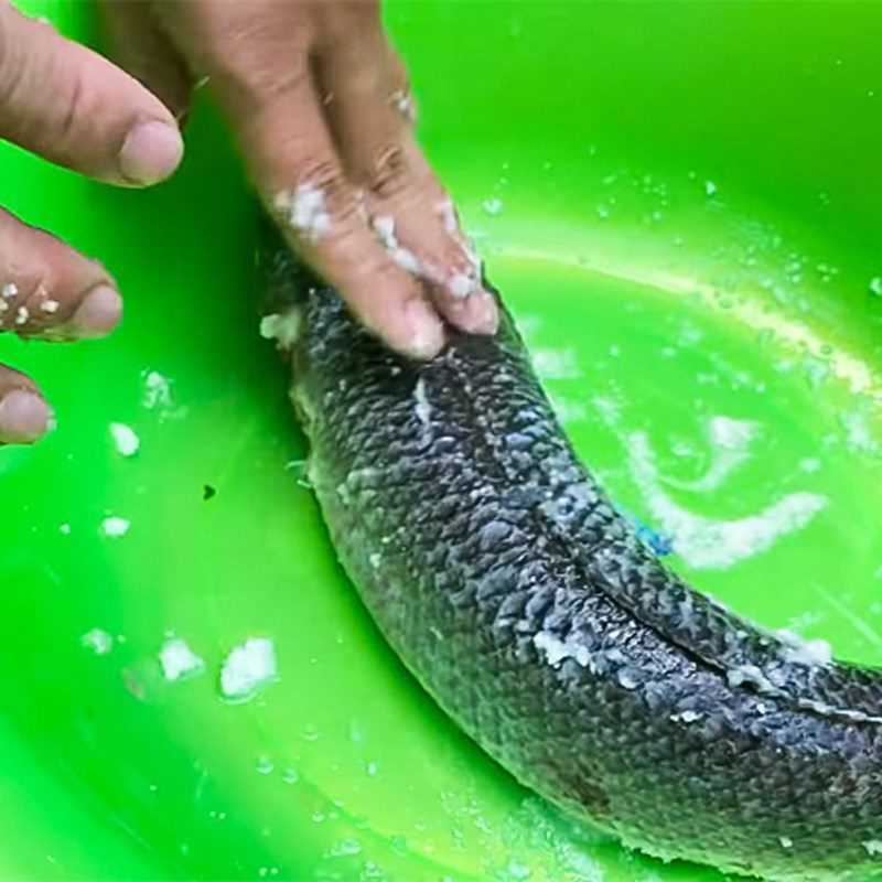 Step 1 Prepare the Ingredients for Snakehead Fish Braised with Turmeric Powder