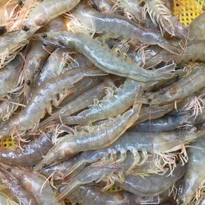 Step 1 Prepare the shrimp Grilled satay shrimp