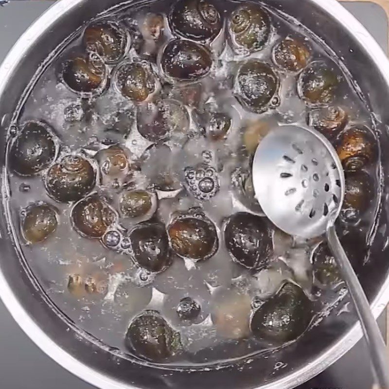 Step 1 Prepare and Boil Snails Stir-Fried Coconut Snails