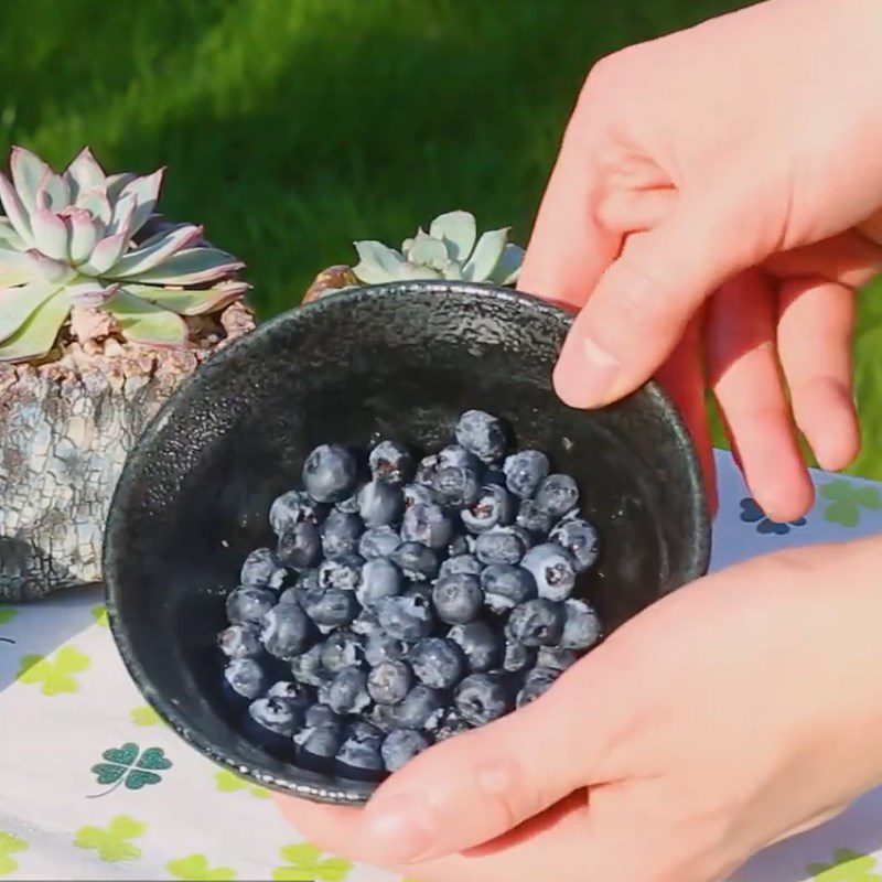 Step 1 Prepare the blueberries Blueberry Milk