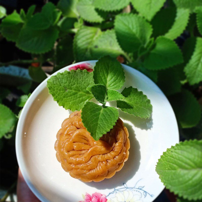 Step 7 Final product Mooncake mixed seeds (recipe shared from user)