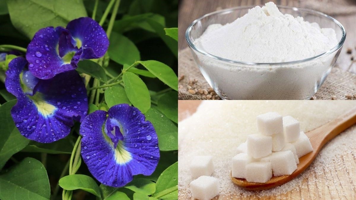 Ingredients for butterfly pea tapioca pearls