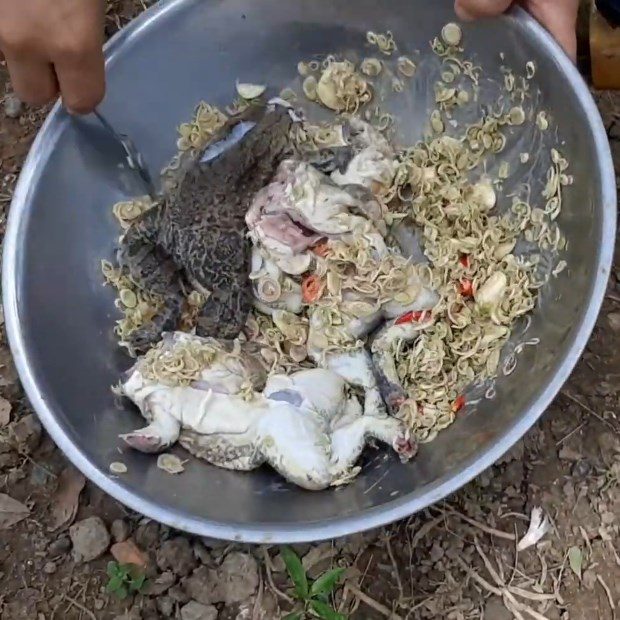 Step 2 Marinating the frogs Grilled frogs with fermented tofu