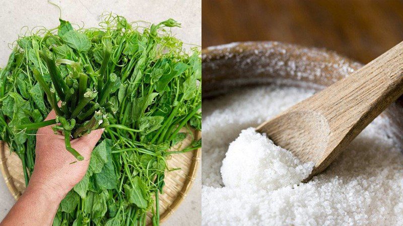 Ingredients for the dish 2 ways to make boiled chayote and boiled chayote shoots