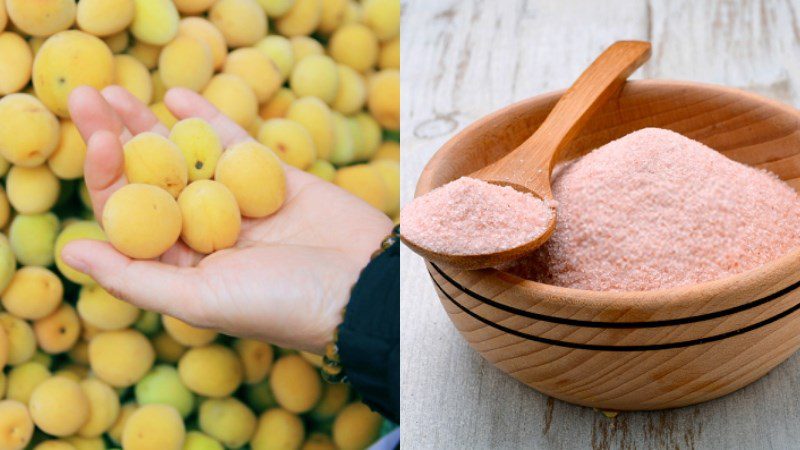 Ingredients for the Japanese-style pickled apricot dish - umaboshi